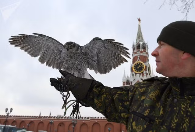 Đội ngũ lông vũ 'tinh nhuệ' bảo vệ Điện Kremlin ảnh 1