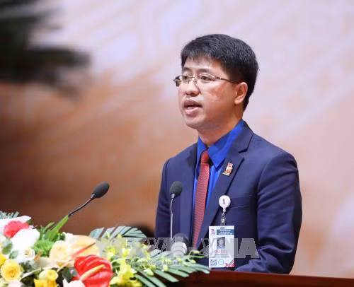 Tuổi trẻ Thủ đô và Thành phố mang tên Bác góp ý kiến xây dựng tổ chức Đoàn ảnh 1