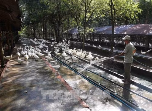Phát triển nông nghiệp công nghệ cao - Bài 1: Cần cú 'huých' mạnh ảnh 2