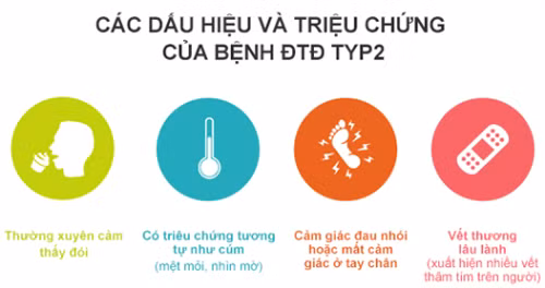Chế độ ăn uống và bệnh đái tháo đường ảnh 3