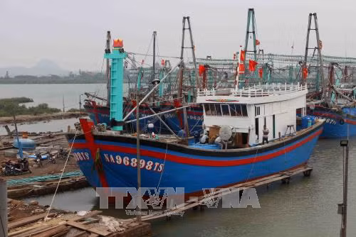 Để những 'con tàu 67' vững vàng vươn khơi ảnh 2