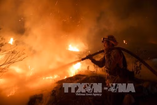 Bang California tiếp tục sơ tán người dân do cháy rừng ảnh 1