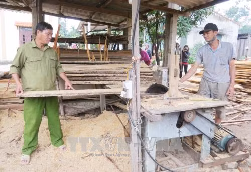 'Chiến sĩ' tiên phong trên mặt trận phát triển kinh tế ảnh 1