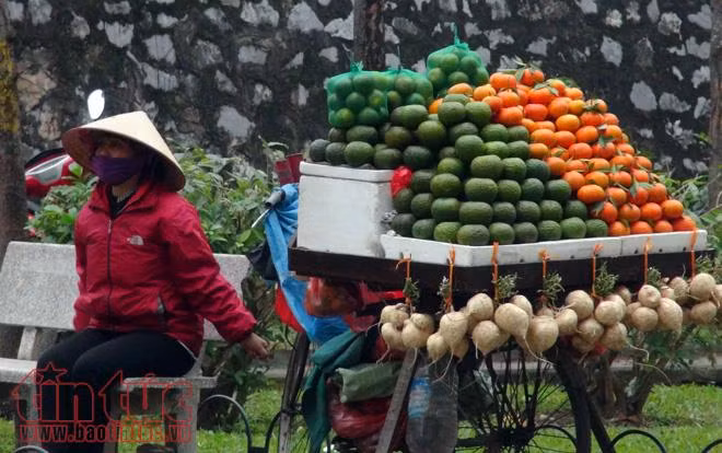 Mưu sinh trong giá rét ảnh 7