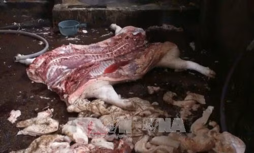 150/150 mẫu thịt được kiểm tra nhiễm khuẩn E.coli ảnh 1