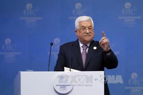 Palestine tìm kiếm quy chế thành viên đầy đủ của Liên hợp quốc ảnh 1