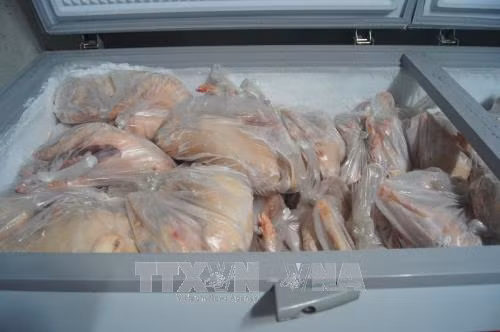 Bắt quả tang gần 1,3 tấn heo sữa không rõ nguồn gốc định tuồn ra thị trường Tết ảnh 1