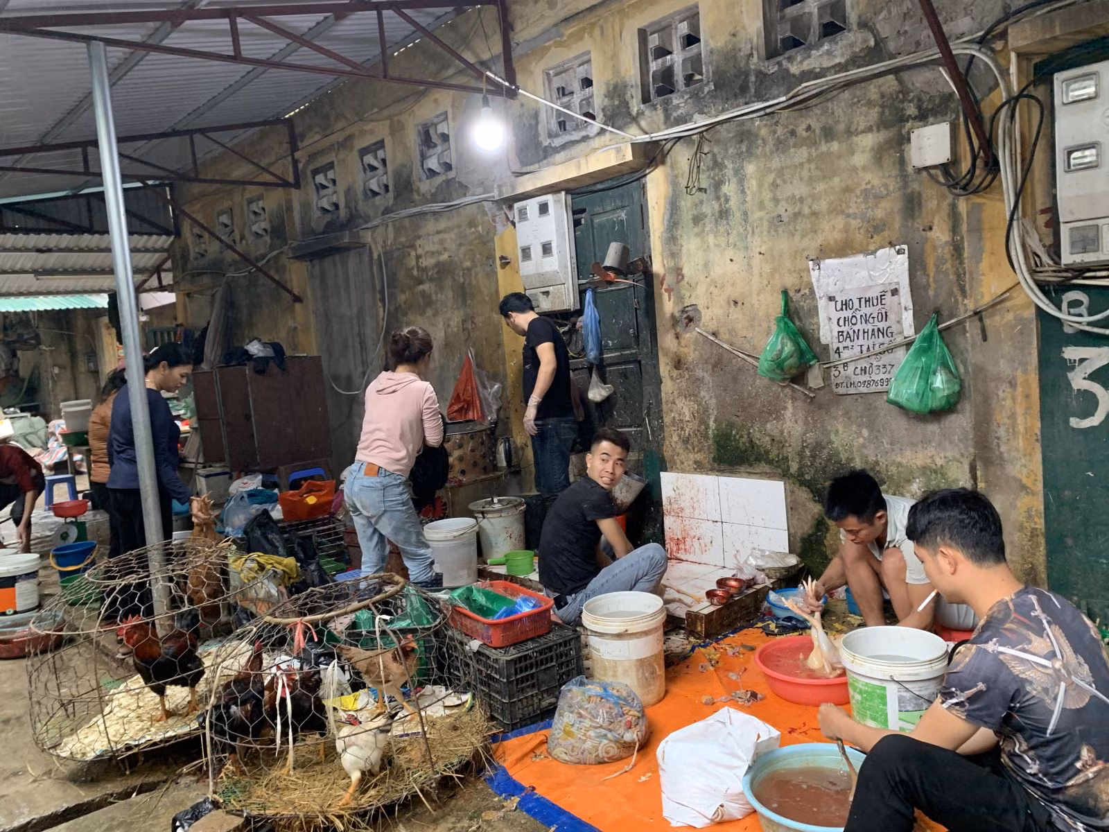 Chú thích ảnh