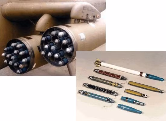 Mỹ chào bán cho Ấn Độ 245 tên lửa Stinger ảnh 1