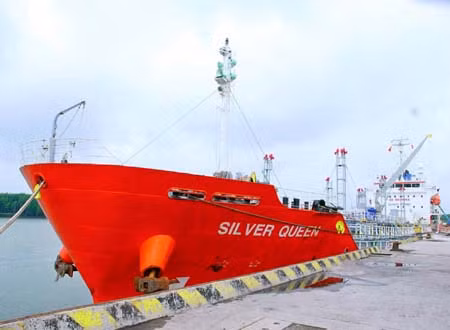 Cảng Đồng Nai - cửa ngõ ra biển lớn ảnh 3