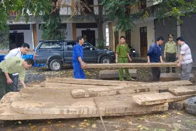Bắt giữ xe tải chở gỗ quý hiếm ảnh 3