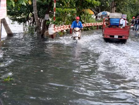 Triều cường kỷ lục gây ngập trên diện rộng ảnh 4