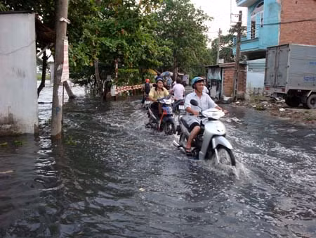 Triều cường kỷ lục gây ngập trên diện rộng ảnh 3