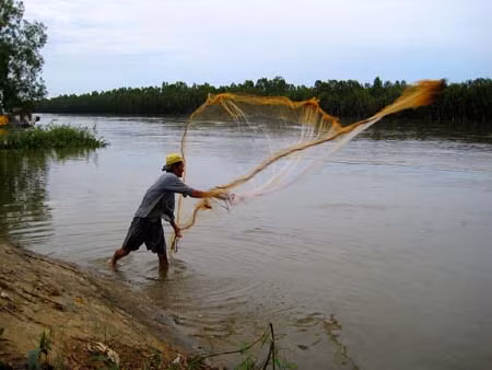 Mùa nước nổi nhớ món ăn quê ảnh 2