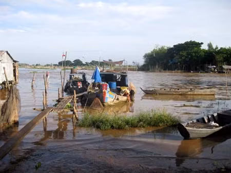 Cá linh mùa nước nổi ảnh 3