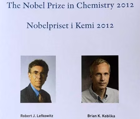 Nobel Hóa học 2012 của hai nhà khoa học Mỹ: Hứa hẹn lớn cho ngành dược phẩm ảnh 1