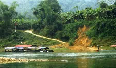 Tuyên Quang: Nhức nhối 'vàng tặc' ảnh 1