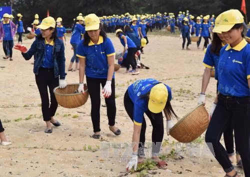 Hơn 1.000 đoàn viên Quảng Binh tham gia “làm sạch biển” ảnh 1