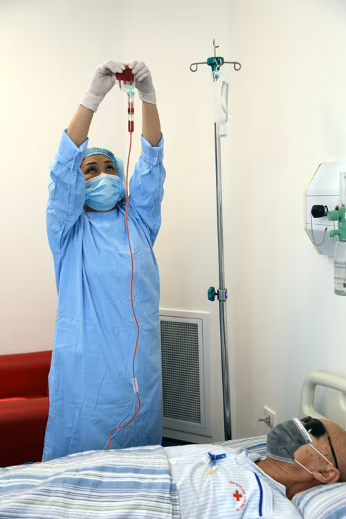 Ghép tế bào gốc, hồi sinh những cuộc đời ảnh 1
