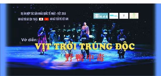 “Vịt trời trúng độc” đến Việt Nam ảnh 2