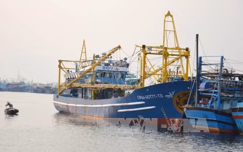 Tàu cá Việt Nam cứu 4 người nước ngoài trên biển ảnh 1