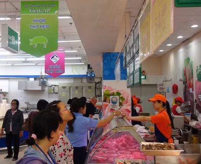 Đưa thực phẩm an toàn vào bếp ăn trường học ảnh 1