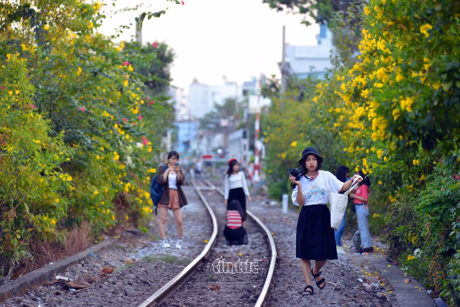 Chú thích ảnh