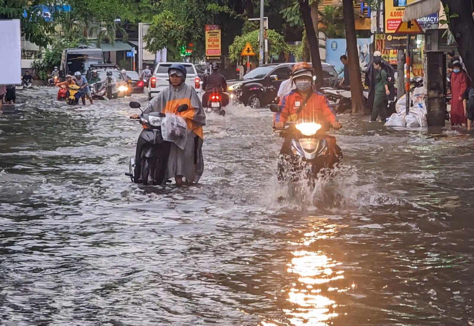 Chú thích ảnh
