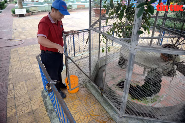 Chú thích ảnh
