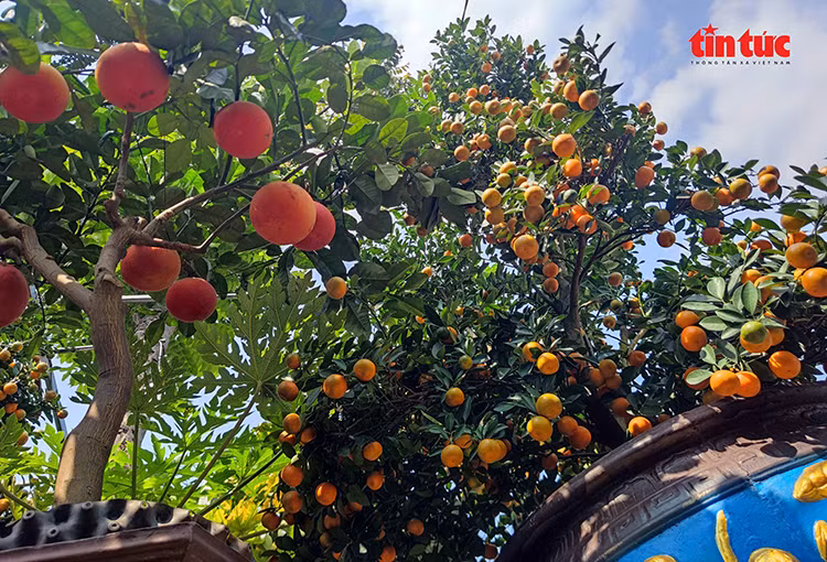 Chú thích ảnh