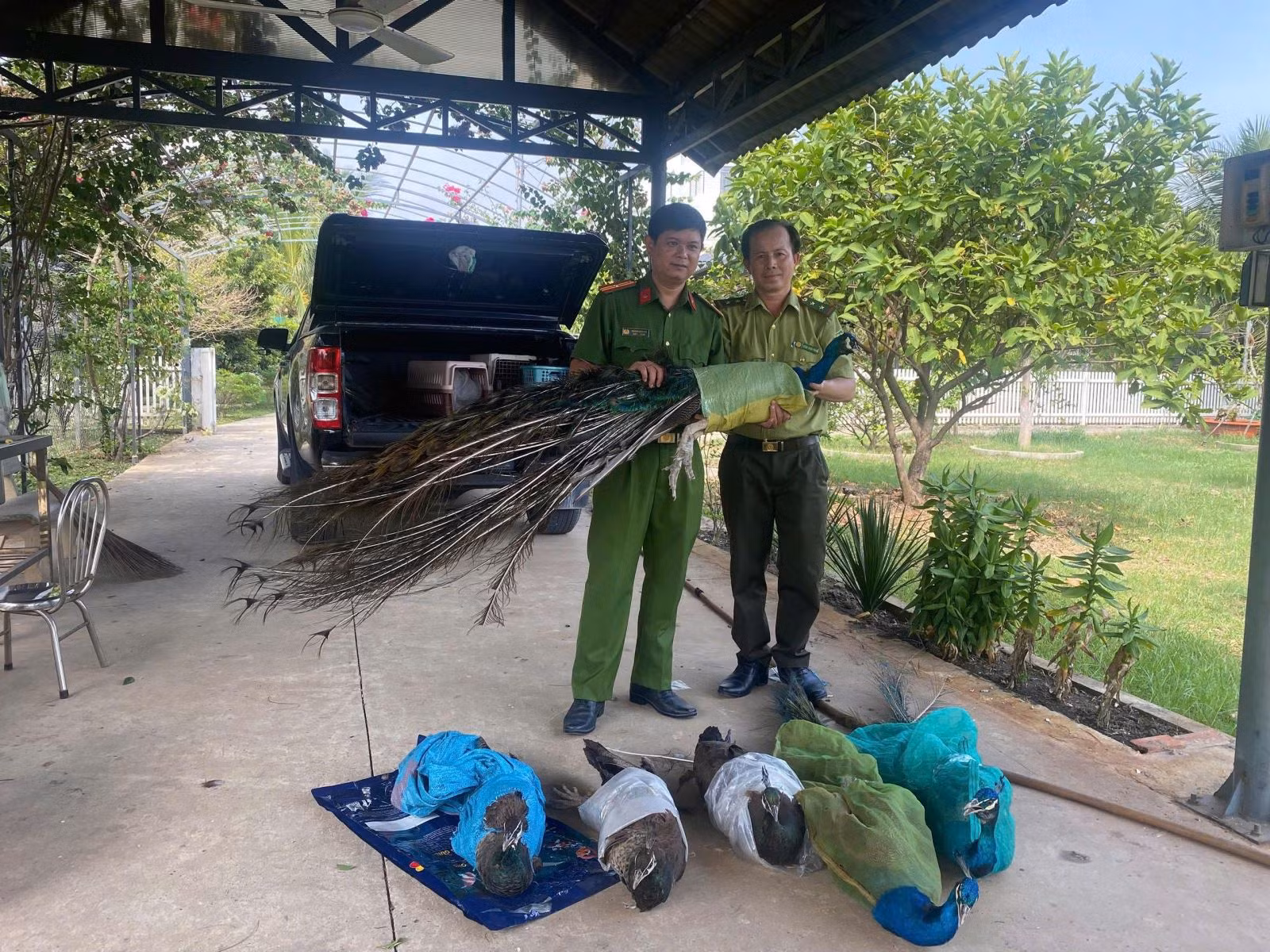 Chú thích ảnh