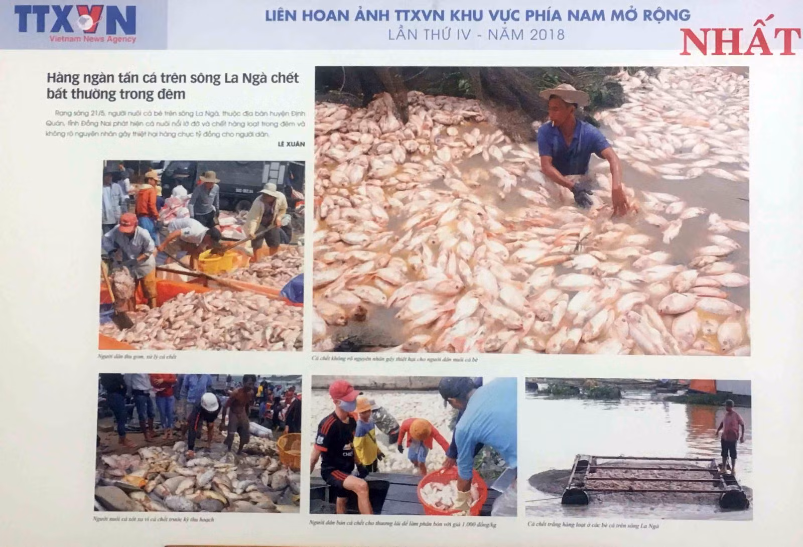 Chú thích ảnh