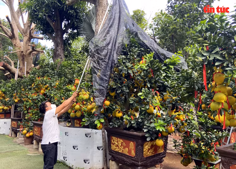 Chú thích ảnh