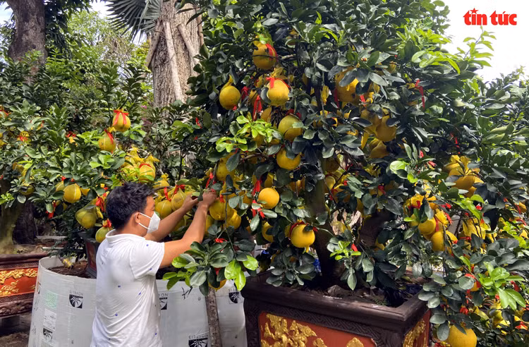 Chú thích ảnh