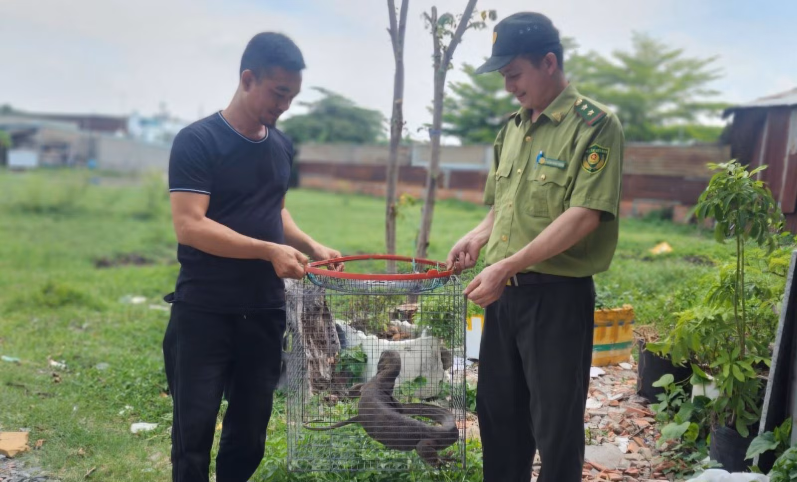 Chú thích ảnh