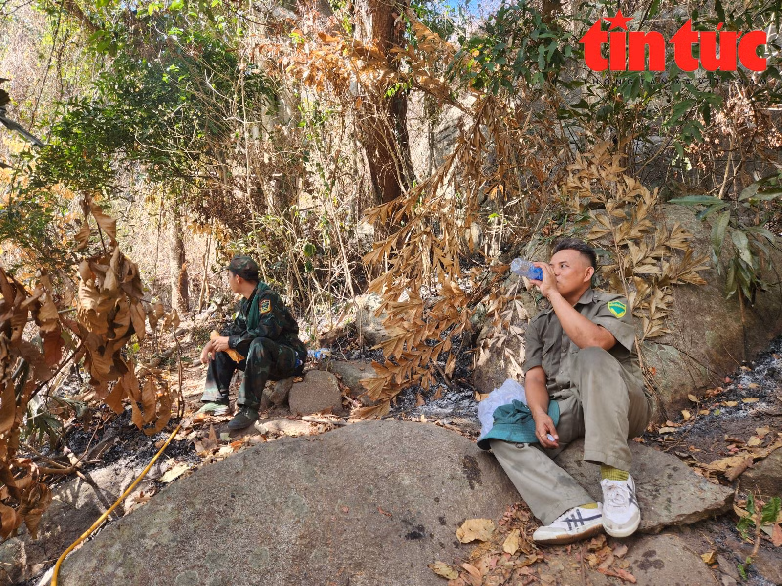 Chú thích ảnh