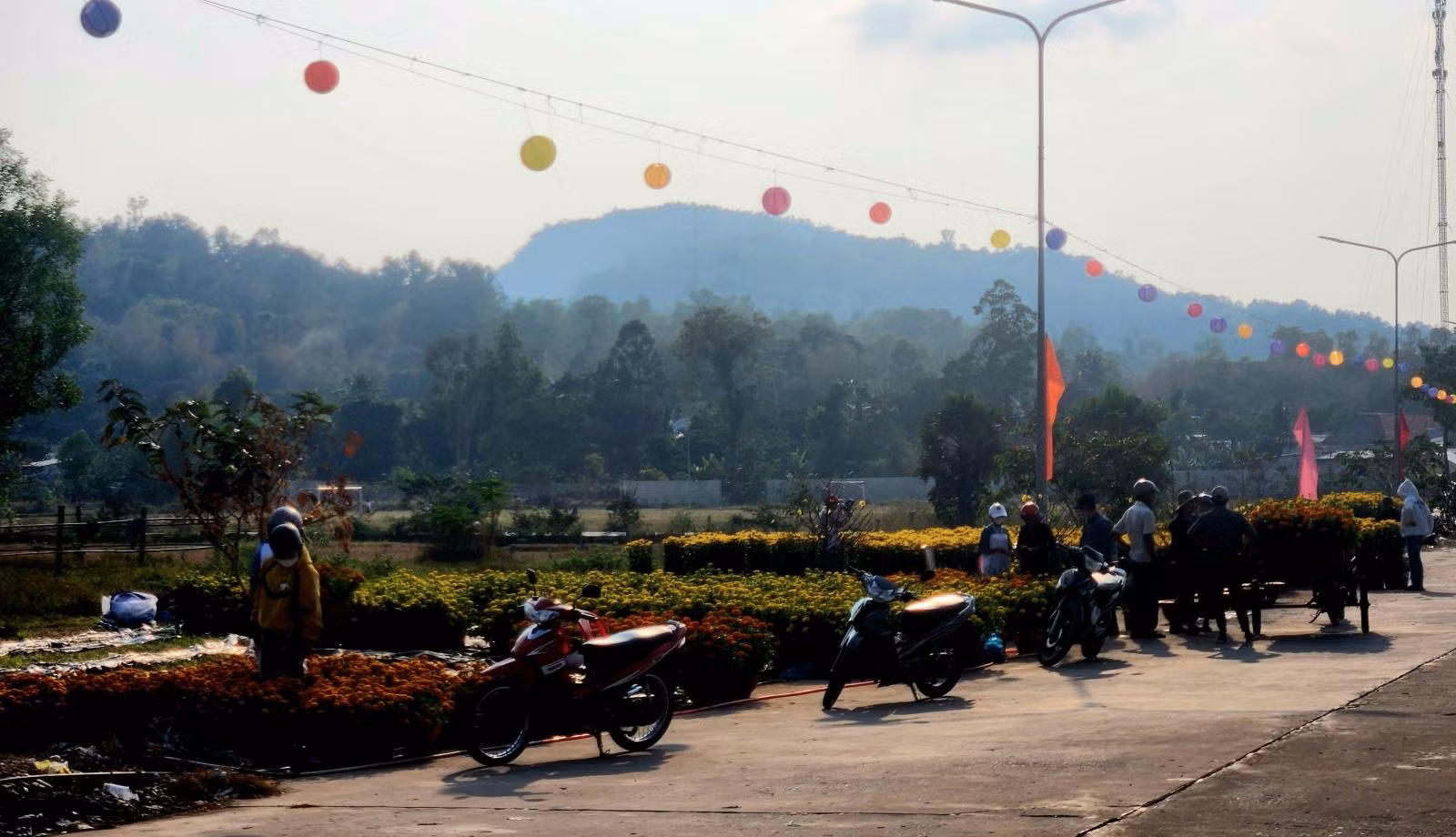 Chú thích ảnh
