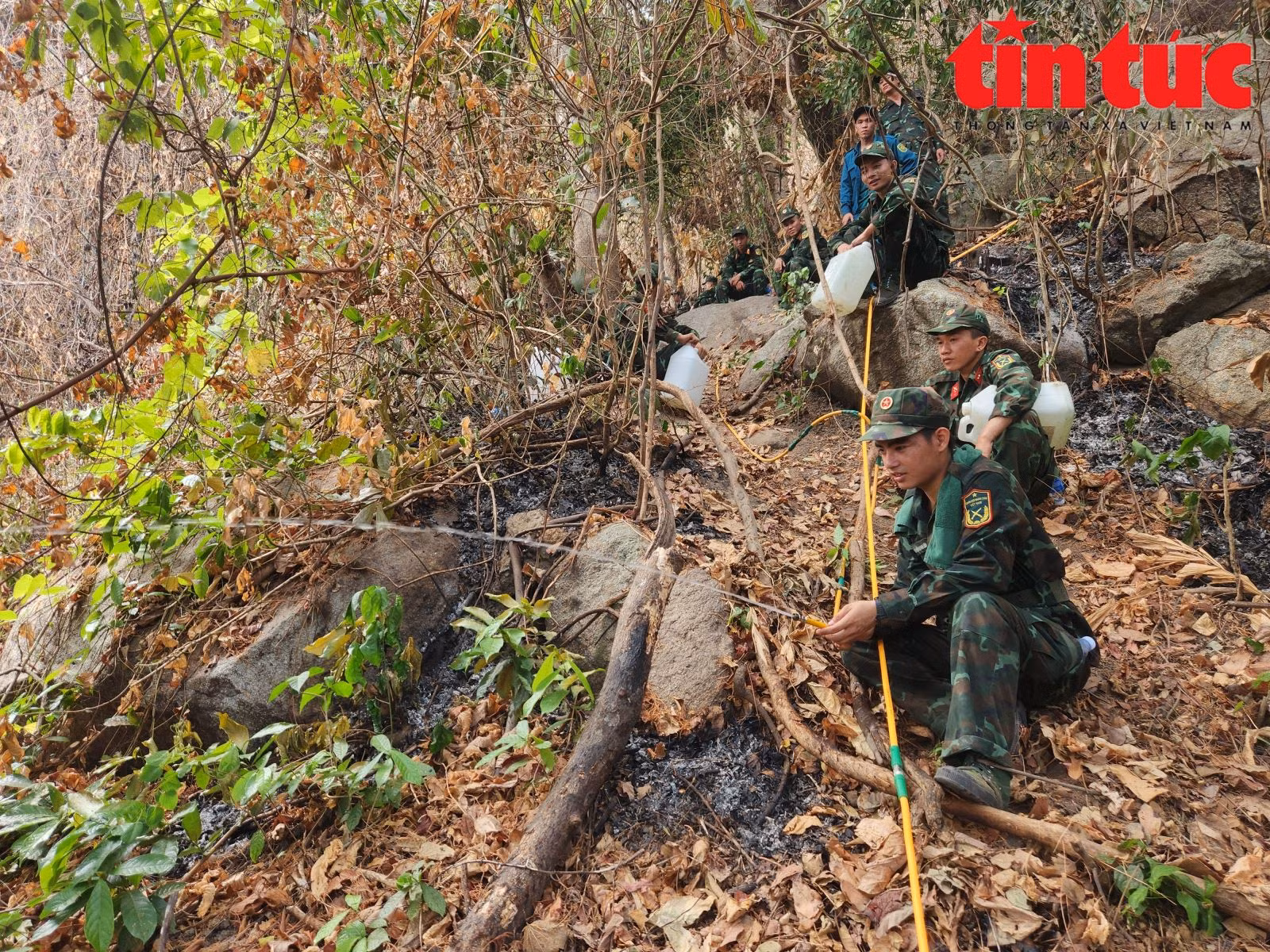 Chú thích ảnh