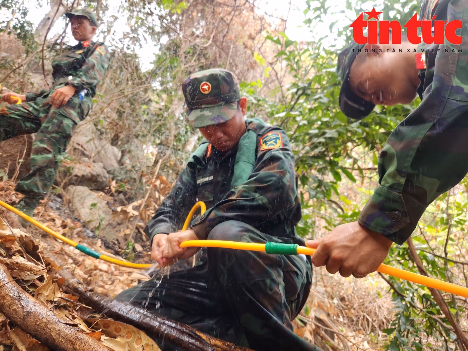 Chú thích ảnh