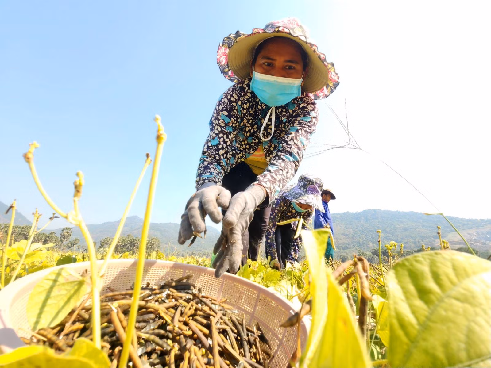Chú thích ảnh
