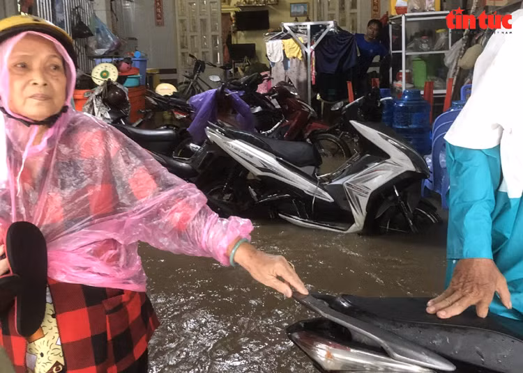 Chú thích ảnh