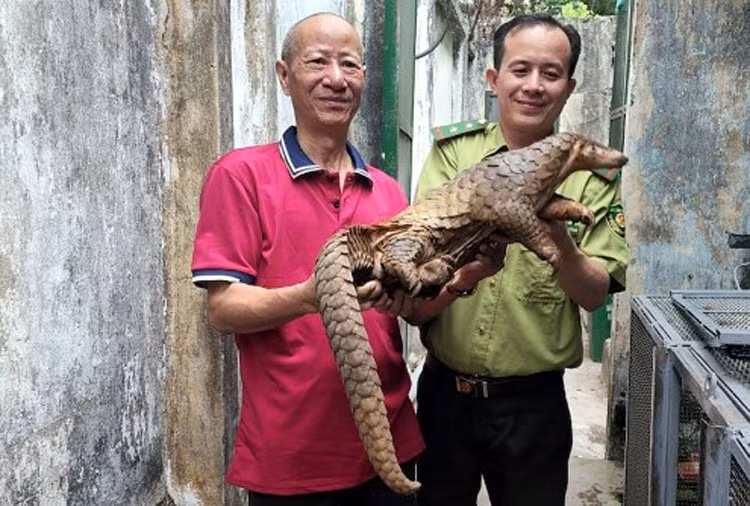 Chú thích ảnh