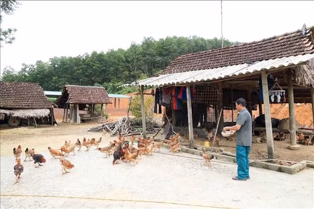 Vốn chính sách mở lối thoát nghèo tại vùng biên giới Sơn Hồng