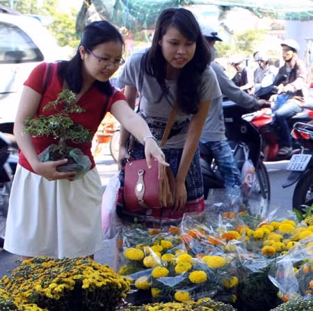 TP Hồ Chí Minh: Nhộn nhịp chợ hoa Tết Quý Tỵ ảnh 1