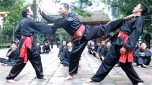 Giải võ cổ tryền Hậu Giang mở rộng năm 2013 ảnh 1