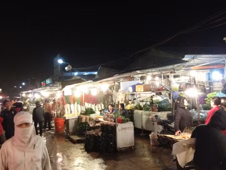 Vườn hoa, chợ hoa Hà Nội tràn ngập không khí Tết ảnh 1