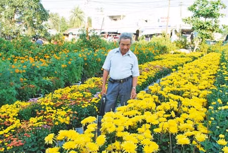 Tết của ngày thơ ảnh 1