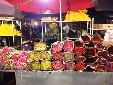 Vườn hoa, chợ hoa Hà Nội tràn ngập không khí Tết ảnh 2
