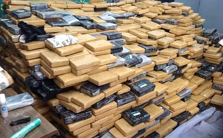 Tây Ban Nha bắt giữ hơn 4 tấn cocaine ảnh 1