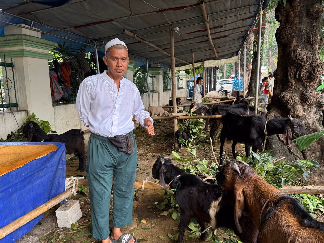 Chú thích ảnh